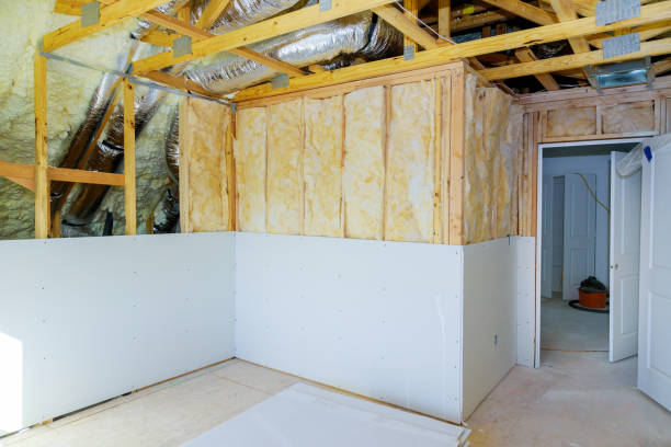 Best Insulation Contractors for Homes  in Archer Lodge, NC