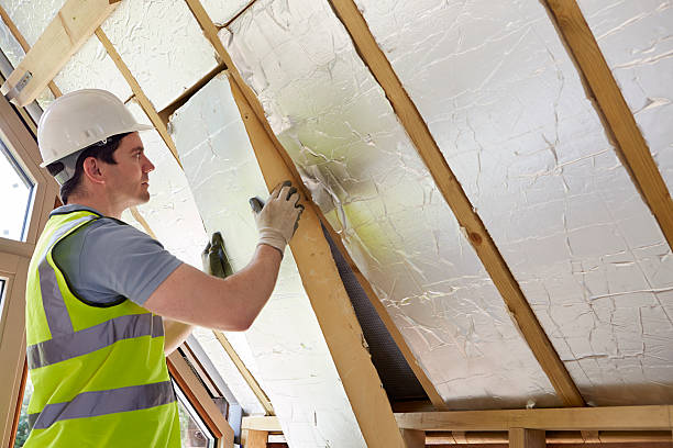 Best Insulation Removal  in Archer Lodge, NC